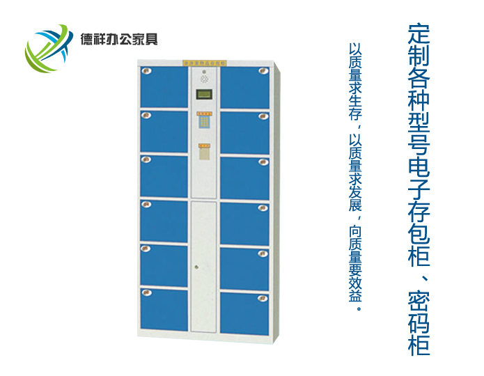 12门刷卡存包柜