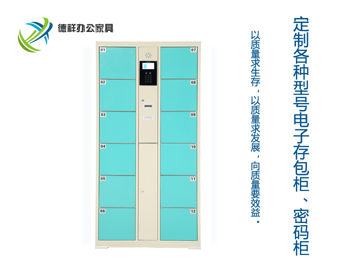 12门条码存包柜(绿色）