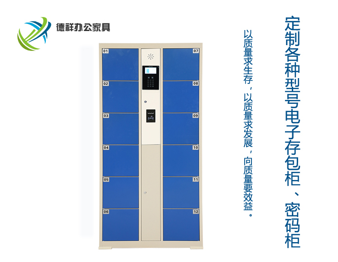 12门条码电子存包柜